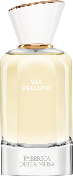 0649812585208 - Via Velluto Eau de Parfum (EdP) 100 ml