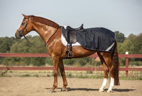 0649982108115 - Amigo Ripstop Wettbewerb Reiten Decke - Größe XL - Navy