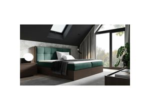 0653415609162 - Fun Moebel - Boxspringbett Bett thanos 160x200cm Dunkel Eiche Stoff Grün inkl Bettkasten