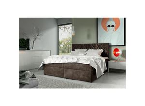 0653415619697 - Fun Moebel - Boxspringbett Schlafzimmerbett 160x200cm lazaro Nr7 Braun inkl Bettkasten