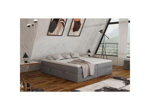 0654170934803 - Boxspringbett Schlafzimmerbett antony 180x200cm Stoff Grau inkl Bettkasten