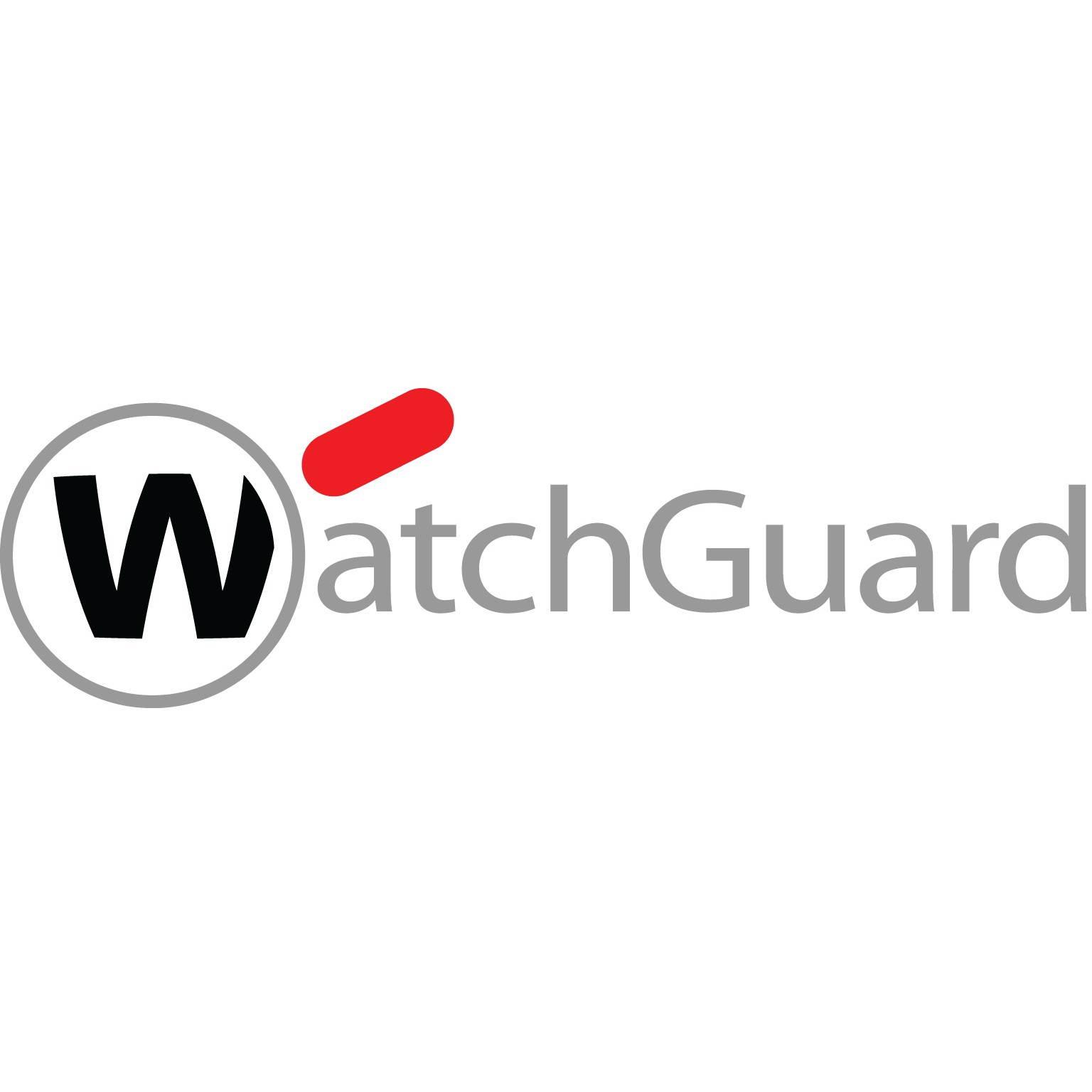 0654522202130 - WatchGuard Application Control 1-yr for FireboxV Small