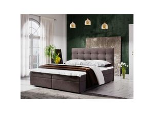 0664242537917 - Fun Moebel - Boxspringbett Schlafzimmerbett kerlon 140x200cm Braun inklBettkasten