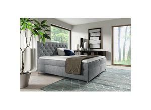 0664242548838 - Fun Moebel - Boxspringbett Schlafzimmerbett ambre 160x200cm in Stoff Fresh Grau