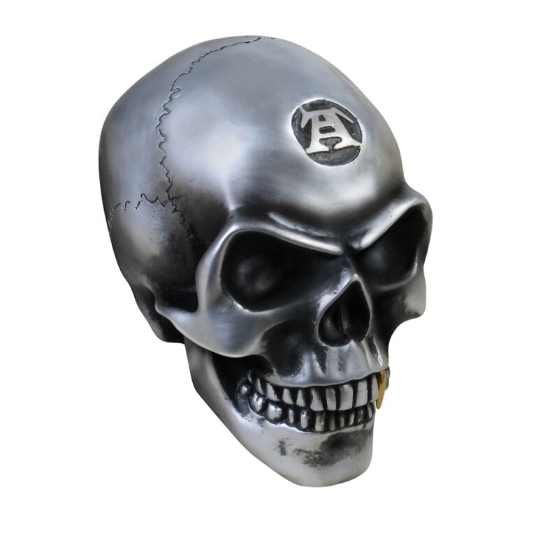 0664427044261 - Metalised Alchemist Skull Dekoartikel silberfarben