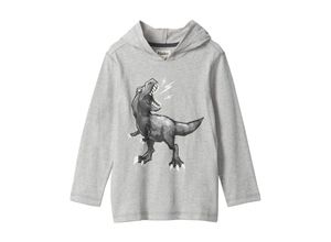 0671374712907 - - Kapuzen-Sweatshirt DINO in grau Gr110