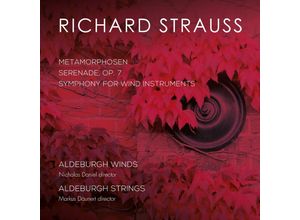 0691062053822 - N Daniel - GEBRAUCHT Strauss Metamorphosen Serenade Sinfonie für Bläser - Preis vom 22102023 045847 h