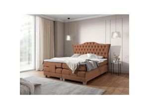 0695102260102 - Fun Moebel - Boxspringbett Elektrisch Bett fausto 120x200cm in Stoff Wind Rostbraun