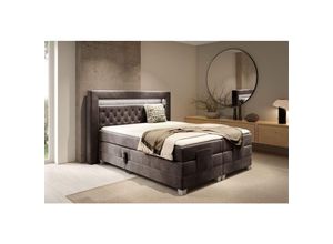 0695102260799 - Fun Moebel - Boxspringbett Elektrisch Bett armando 200x200cm in Stoff Fresh Schokobraun