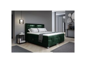 0695102265800 - Fun Moebel - Boxspringbett Elektrisch Bett davide 120x200cm in Stoff Fresh Flaschengrün
