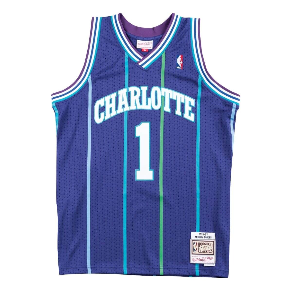 0697589007263 - Swingman-Trikot Charlotte Hornets