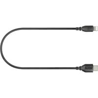 0698813007486 - USB CLightning USB-Kabel SC21 300 cm schwarz 0698813007486 Rode