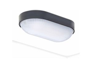 0699908382396 - Aiskdan - LED-Deckenleuchte für den Keller ovale Lampe Beleuchtung 4000K 800lm neutrales Weiß für den Keller Deckenlampe Feuchtigkeitsbeständige