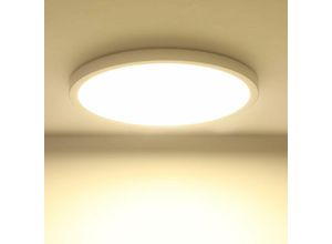 0699953239065 - Delaveek - LED-Badezimmerdeckenleuchte 24W 4000K Modernes Leuchtmittel Ø23cm Deckenlampe für Schlafzimmer Küche Wohnzimmer und Balkon