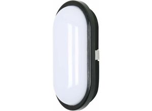 0699968101005 - Delaveek - led Deckenleuchte Kaltweiß 6000K Oval Deckenleuchte für Badezimmer Wasserdicht IP54 Für Bad Schlafzimmer Wohnzimmer Küche