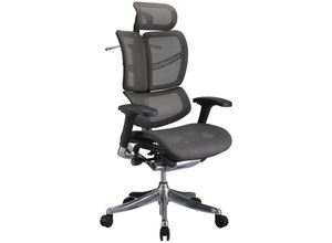 0710144651753 - Bürostuhl Norman Ergonomic mit Netzbezug Schwarz