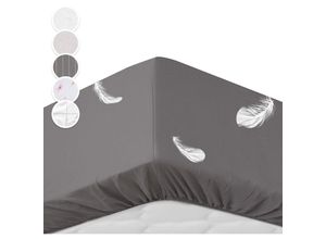 0710535489651 - Soft Wonder-Edition Spannbettlaken 140-160 x 200 cm Mikrofaser - dunkel grau - Sleepwise