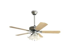 0711730844429 - - Deckenventilator Santa Monica 107 cm mit Licht