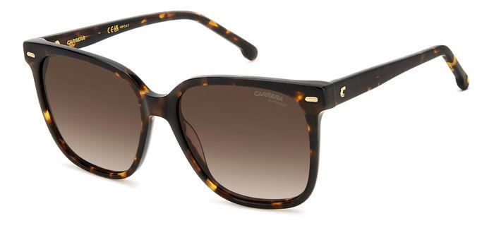 0716736833576 - Damen CARRERA 3002 S 086 HA Gläser SONNENBRILLEN Acetat Havanna Braun Quadratisch  Schattiert