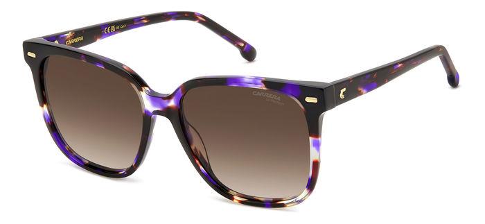 0716736833606 - Damen CARRERA 3002 S HKZ HA Gläser SONNENBRILLEN Acetat Havanna Viola Braun Quadratisch  Schattiert