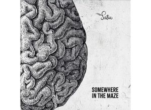 0717281916226 - Somewhere In The Maze - Satuo (LP)