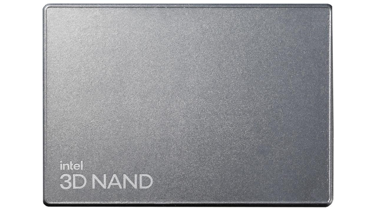 0735858502597 - Solid-State Drive D7-P5520 Series - SSD - verschlüsselt - 384 TB - intern - 25 (64 cm)