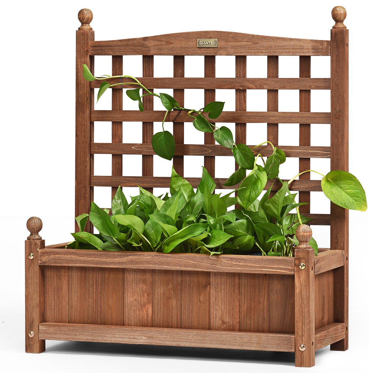 0736542321036 - Garden Spalier Blumenkasten mit Ranken Massivholz Pflanzgefäß 645 x 28 x 75 cm dunkelbraun