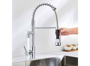 0738956108807 - Wasserhahn Küche mit Spiralfeder Küchenarmatur 360° drehbare Spültischarmaturen Einhebel Mischbatterie mit Zwei Auslauf Mischbatterien für die Küche