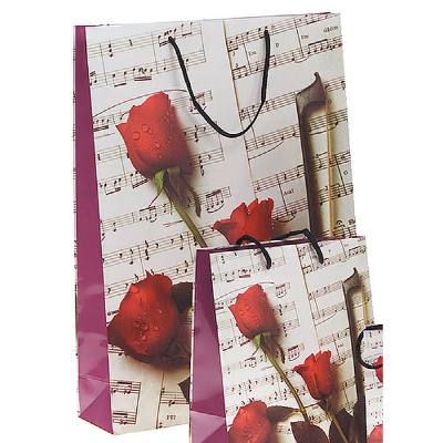 0744286194021 - GESCHENKTUETE ROSE + NOTEN