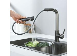 0744790796285 - Cecipa Max - Wasserhahn Küche Ausziehbar Küchenarmatur mit 2 Strahlarten Spültischarmatur 360° Schwenkbar Mischbatterie Küche grau