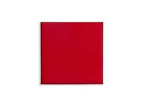 0753263065766 - Deckenpaneele colorPAD® für Rasterdecken B 620 x T 620 x H 32 mm feuerrot glatt