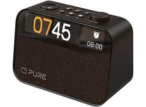 0759454301019 - PURE Bluetooth-Lautsprecher Moment Lautsprecher schwarz (kaffeeschwarz) Bluetooth