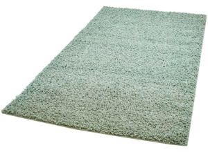 0764831558634 - Hochflor-Teppich CARPET CITY Pastell Shaggy300 Teppiche Gr B L 300 cm x 400 cm 30 mm 1 St grün (hellgrün) Esszimmerteppiche Shaggy Hochflor Teppich Uni Farben Weich