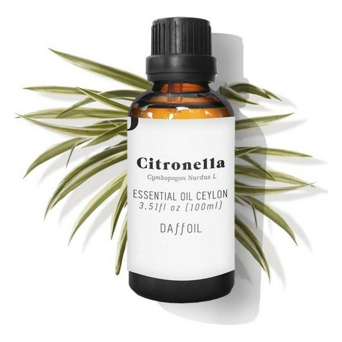 0767870879821 - Ätherisches Öl Citronella DAFFOIL 100 ml