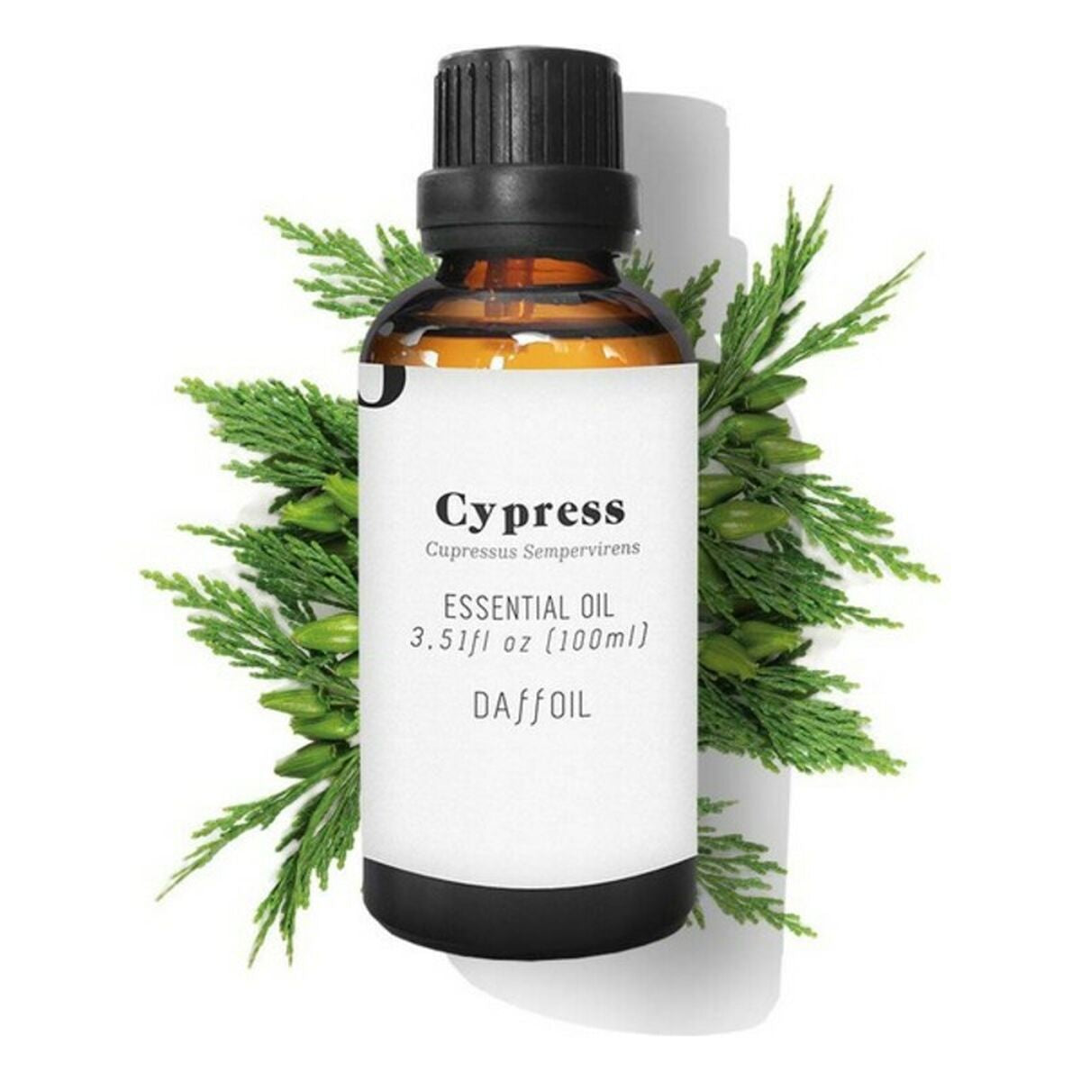 0767870879852 - Ätherisches Öl Cypress 100 ml