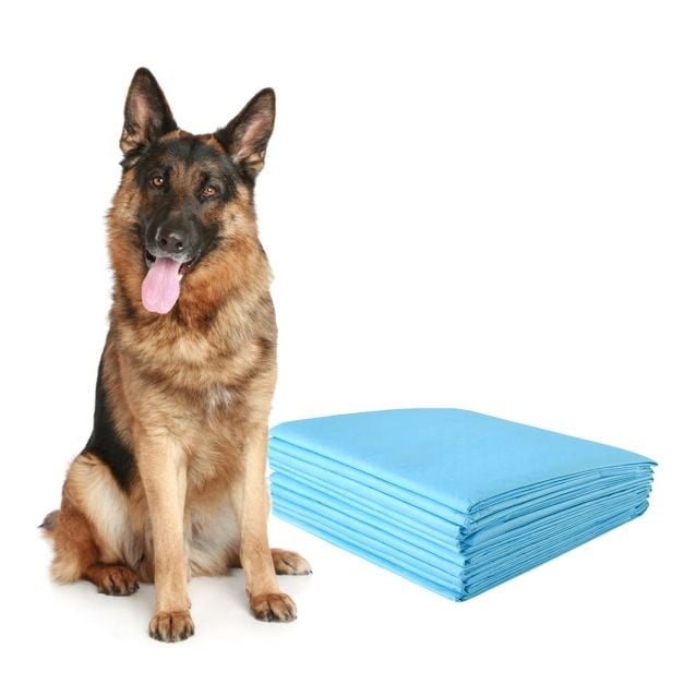 0783501366096 - Training Matte für Hunde Leakproof 5-Layer Design Puppy Pad Hygienic Disposable PIPI Pads (150 Stück)