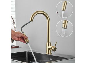 0783798512411 - Onyzpily - Wasserhahn Küche Gebürstet GoldHochdruck Küchenarmatur Ausziehbar Edelstahl Mischbatterie Küche mit Brause 2 Wasserstrahlarten 360°