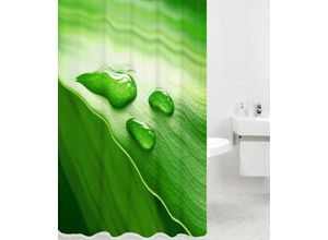 0784672236034 - Duschvorhang Green Leaf 180 x 180 cm