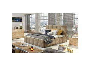 0785045840520 - Fun Moebel - Polsterbett Bett Doppelbett verona Set 1 Webstoff Cappuccino 120x200cm