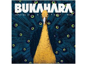 0792742249990 - Canaries In A Coal Mine (Vinyl) - Bukahara (LP)