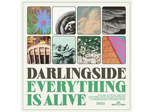 0793888874084 - Everything Is Alive - Darlingside (CD)