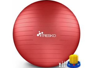 0796856338847 - Tresko - Gymnastikball (Rot 55cm) mit Pumpe Fitnessball Yogaball Sitzball Sportball Pilates Ball Sportball