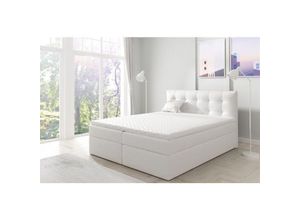 0796961406226 - Fun Moebel - Boxspringbett Schlafzimmerbett oviedo 200x200cm Kunstleder Weiss