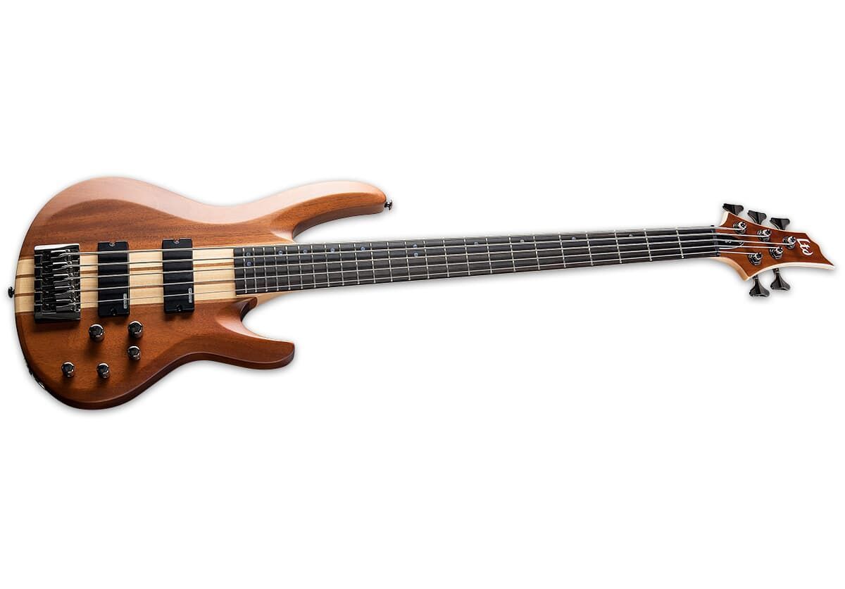 0799493262605 - ESP Ltd B-5E NS E-Bass 2x Humbucker durchgehender Hals