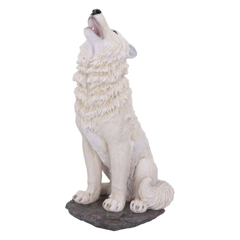 0801269142407 - Storms Cry Statue multicolor