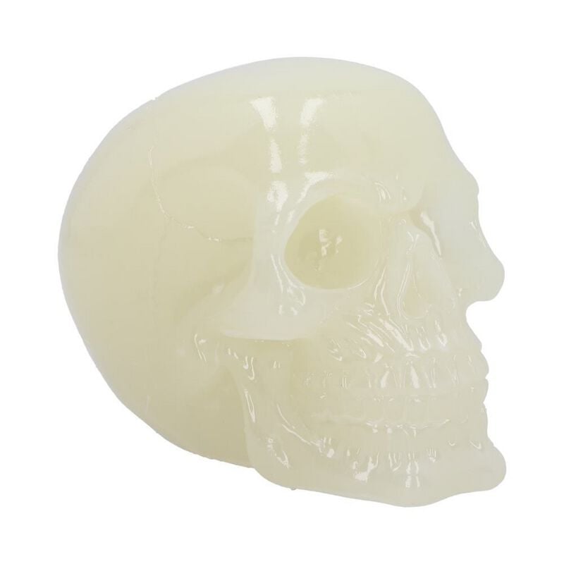 0801269156169 - Phosphorescent Skull (Glow in the Dark) Statue creme