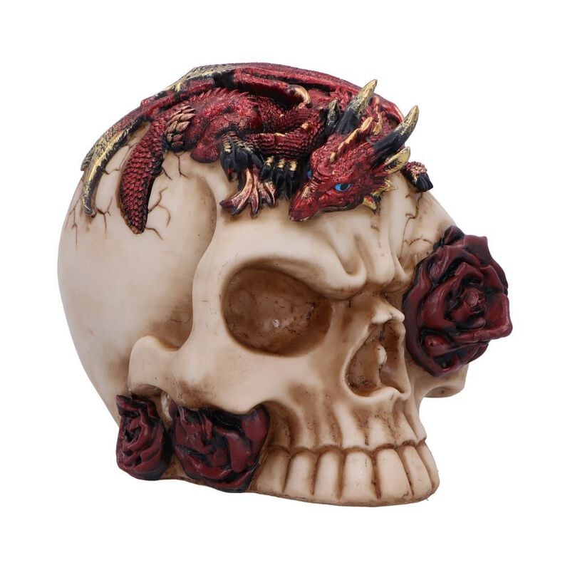 0801269157845 - - Rose Flame Totenkopf multicolor 0801269157845 - - Rose Flame Totenkopf multicolor