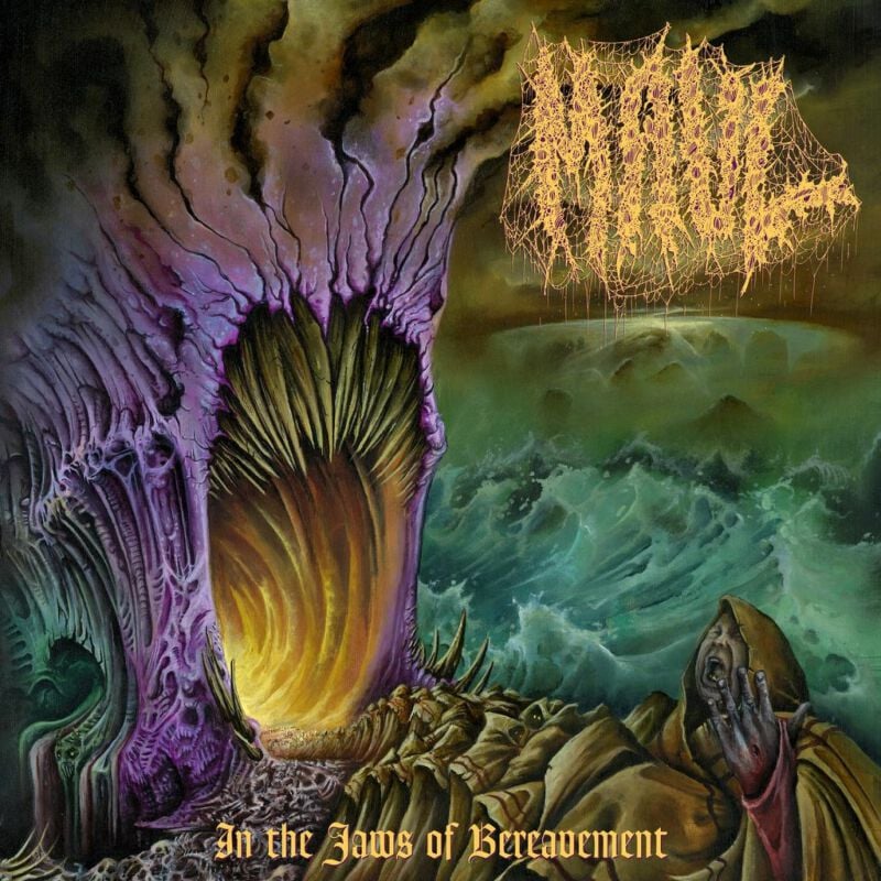 0810079501809 - In the jaws of bereavement LP multicolor