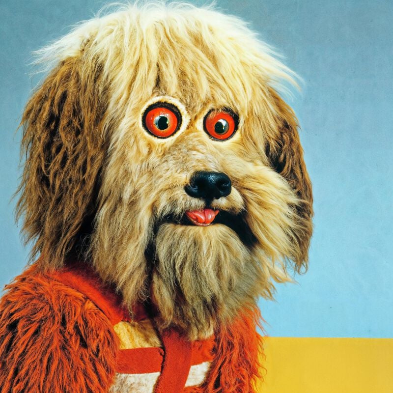 0810540037011 - Analysis paralysis CD multicolor