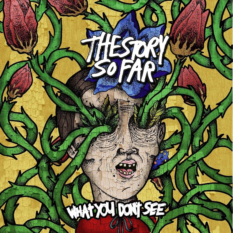 0810540037561 - What you dont see LP multicolor